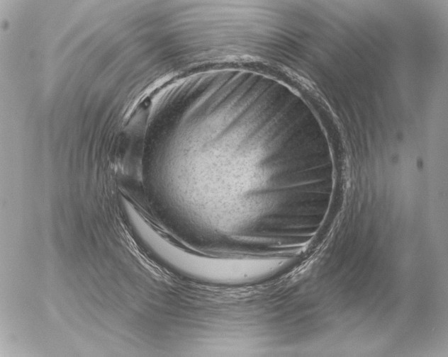 X0000052940881200507221144