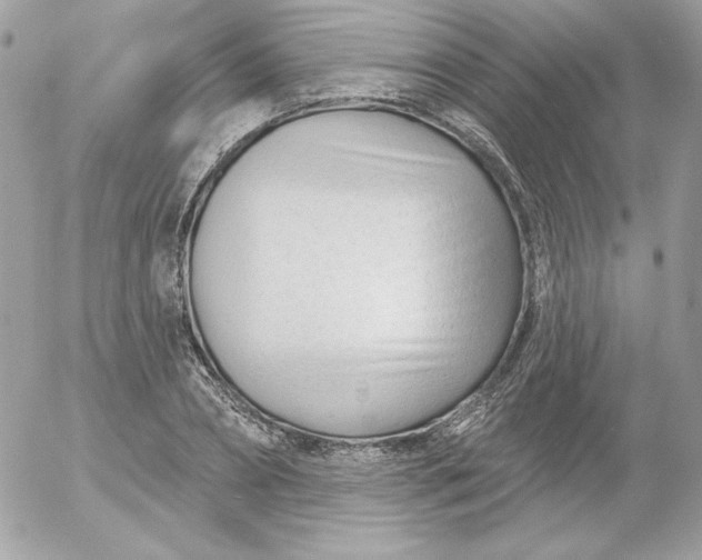 X0000052940882200507221144