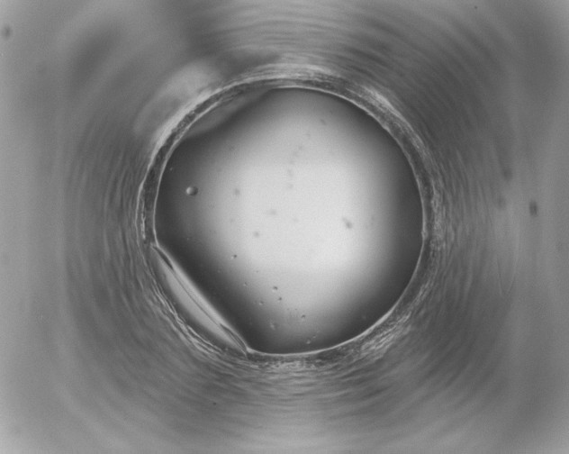 X0000052940883200507221144