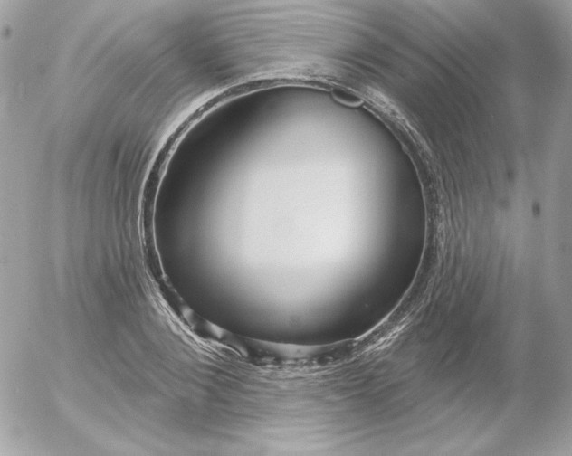 X0000052940884200507221144