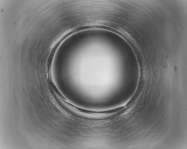 X0000052940885200507221144