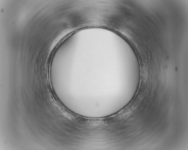 X0000052940886200507221144