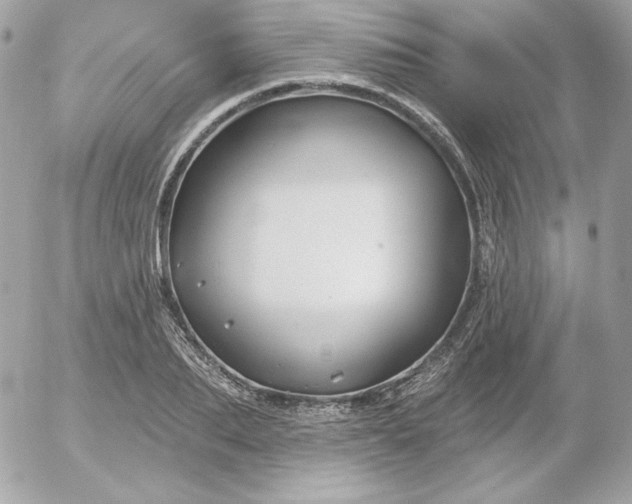 X0000052940887200507221144