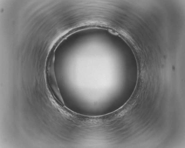 X0000052940888200507221144