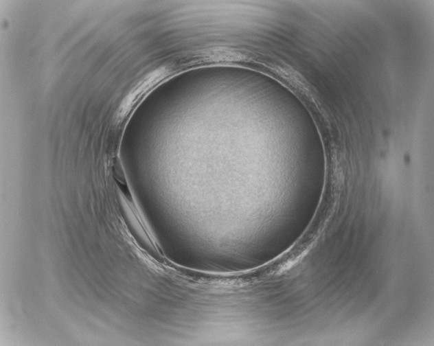 X0000052940889200507221144