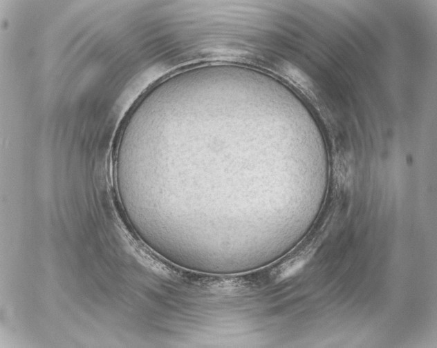 X0000052940891200507221144