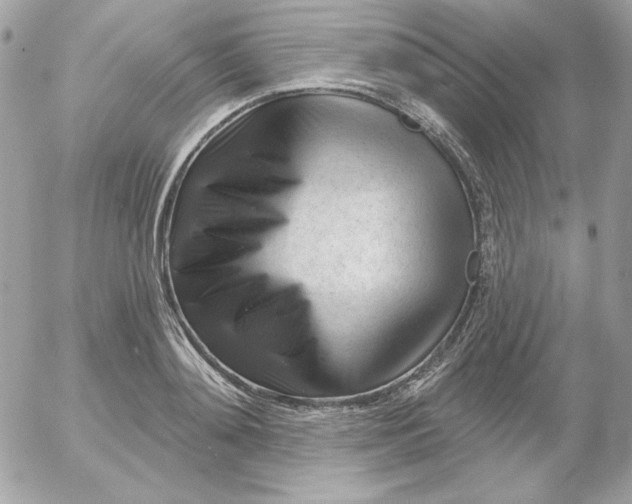 X0000052940892200507221144