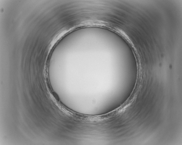 X0000052940893200507221143