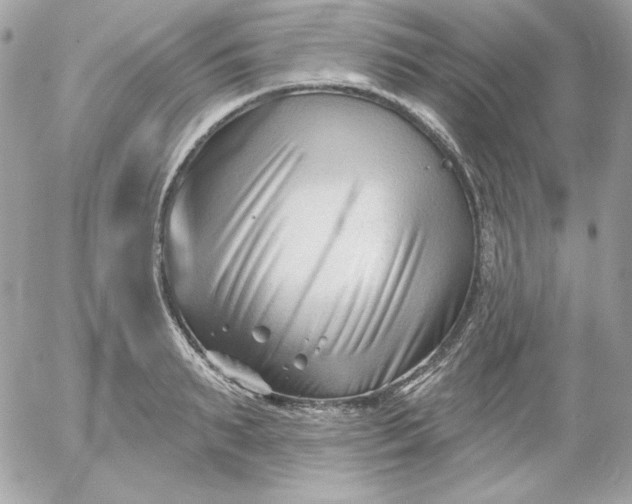 X0000052940895200507221143