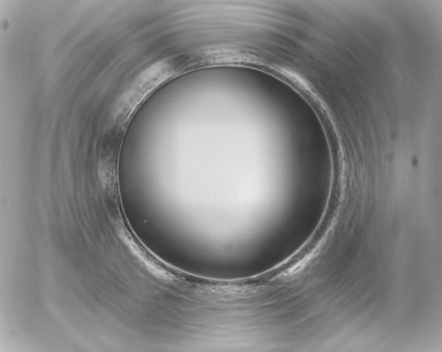 X0000052940897200507221143