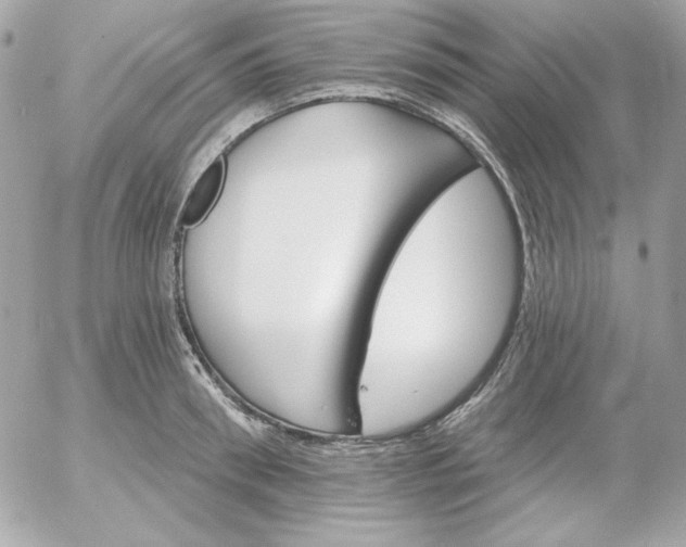 X0000052940898200507221143