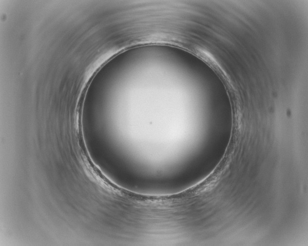 X0000052940900200507221143