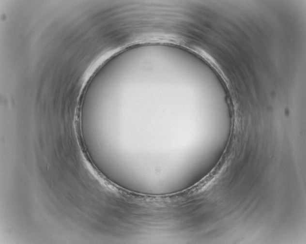 X0000052940901200507221143