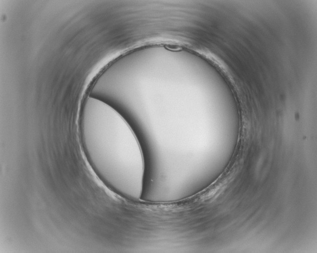 X0000052940902200507221143