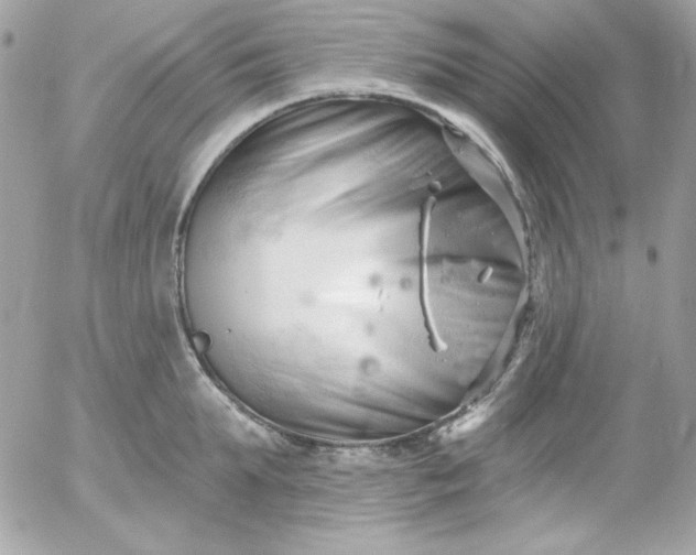 X0000052940903200507221143