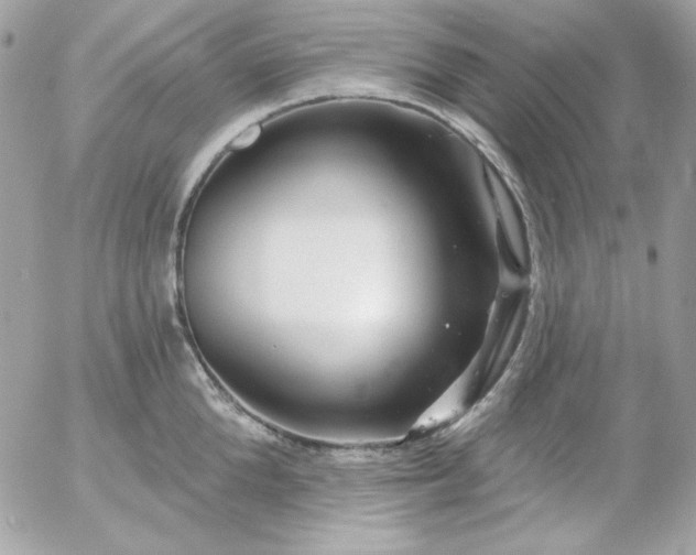 X0000052940904200507221143