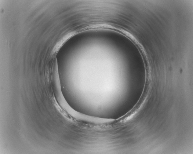 X0000052940905200507221143