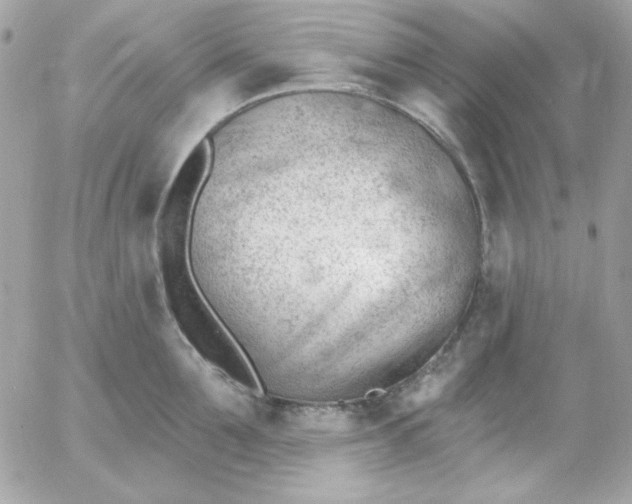 X0000052940907200507221143