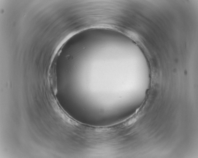 X0000052940908200507221143