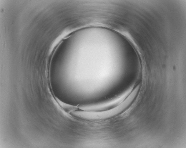 X0000052940910200507221143