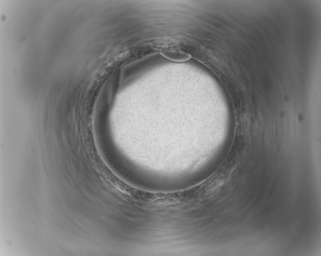 X0000052940913200507221142