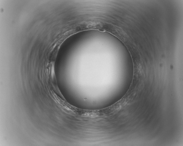 X0000052940914200507221142