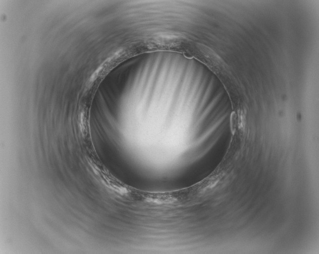 X0000052940915200507221142