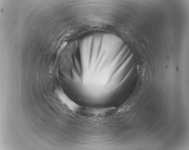 X0000052940916200507221142