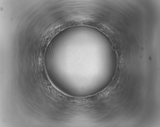 X0000052940917200507221142