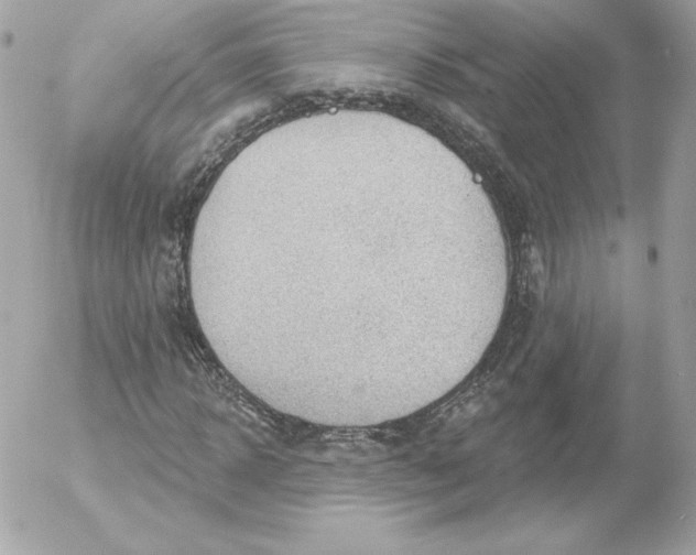 X0000052940918200507221142