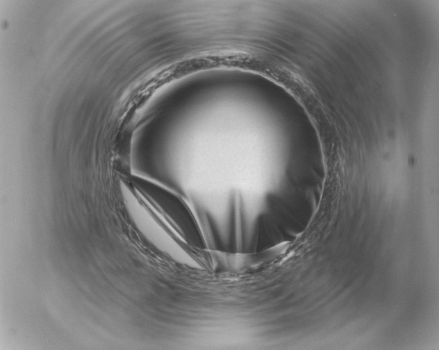 X0000052940920200507221143