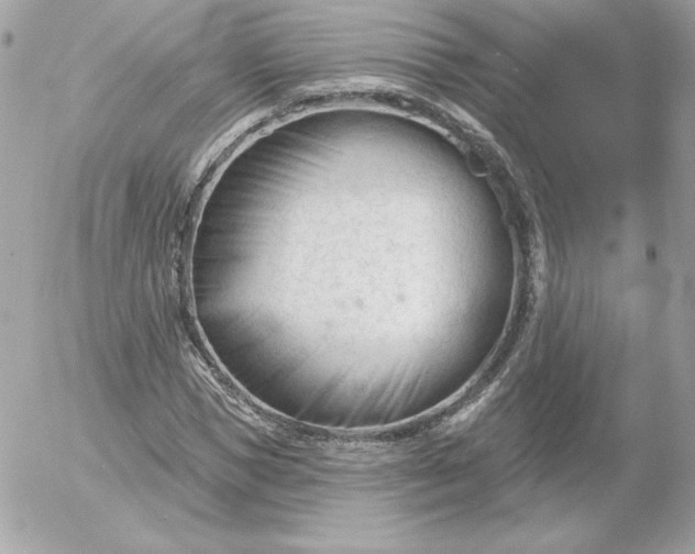 X0000052940921200507221143