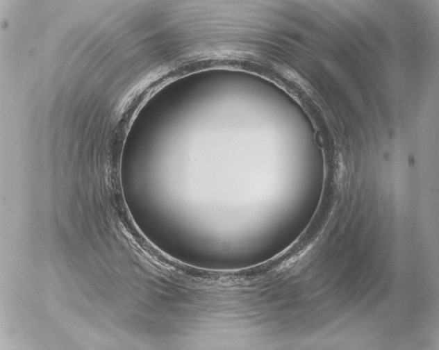 X0000052940922200507221143