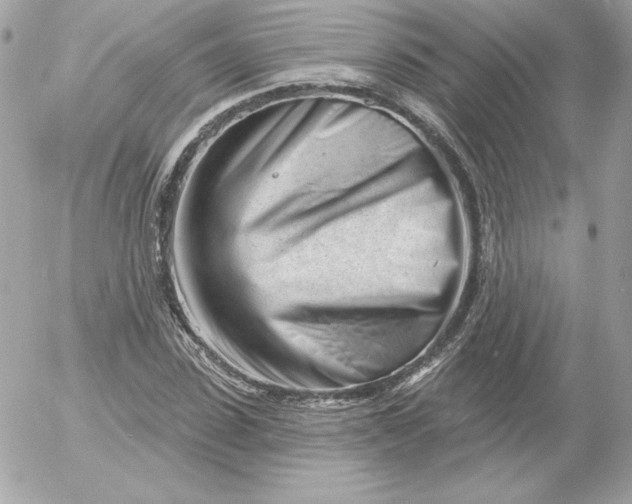 X0000052940923200507221143