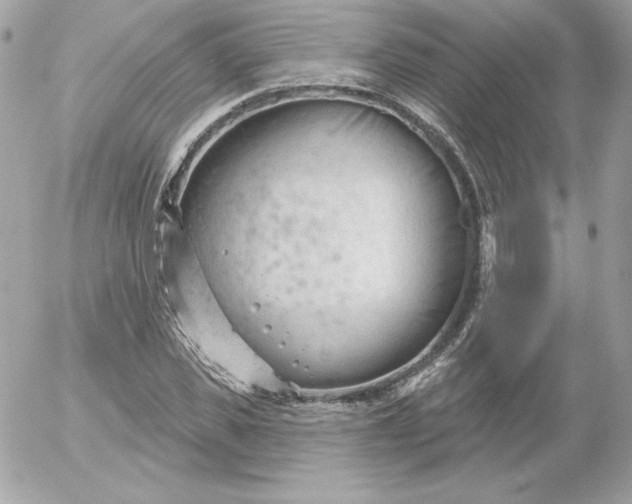 X0000052940925200507221143