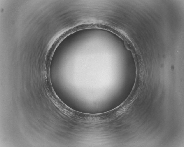 X0000052940927200507221143