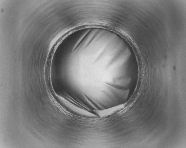 X0000052940928200507221143