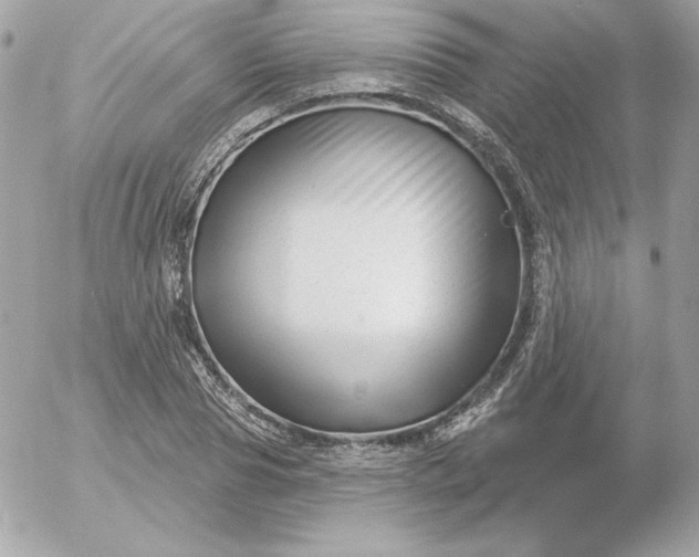 X0000052940929200507221143