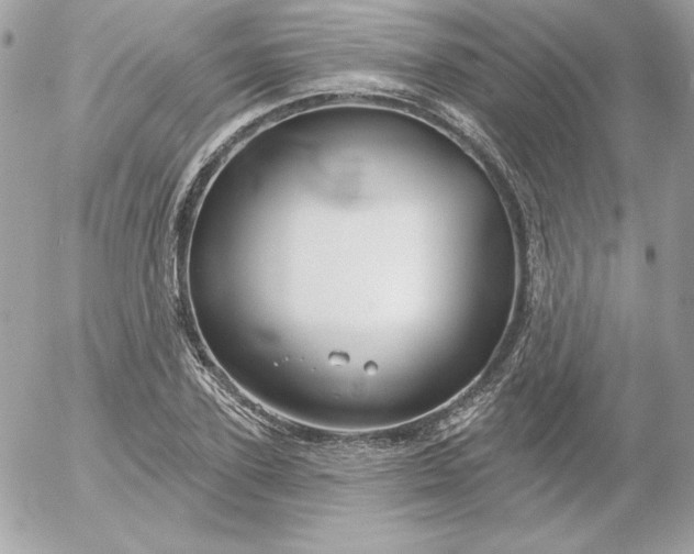 X0000052940931200507221143