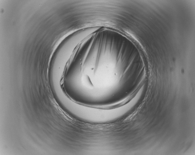 X0000052940932200507221143