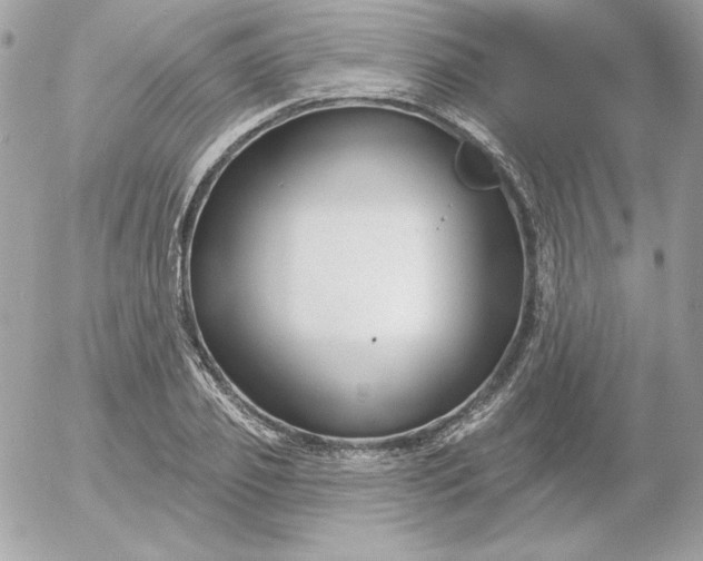 X0000052940933200507221143