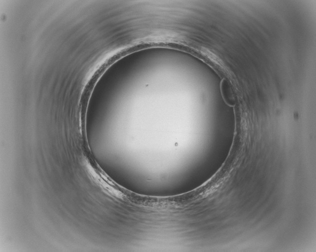 X0000052940934200507221143