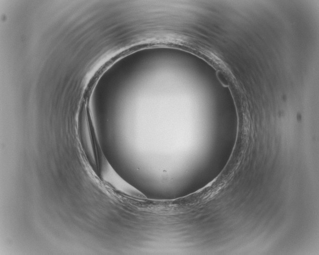 X0000052940936200507221143