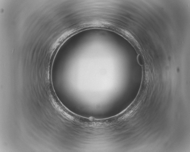 X0000052940938200507221143