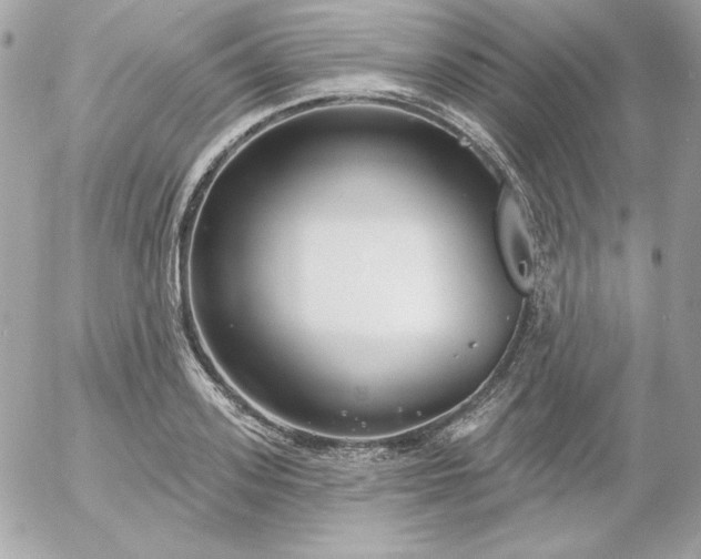 X0000052940939200507221143