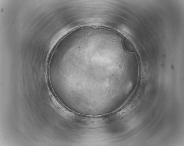 X0000052940941200507221143