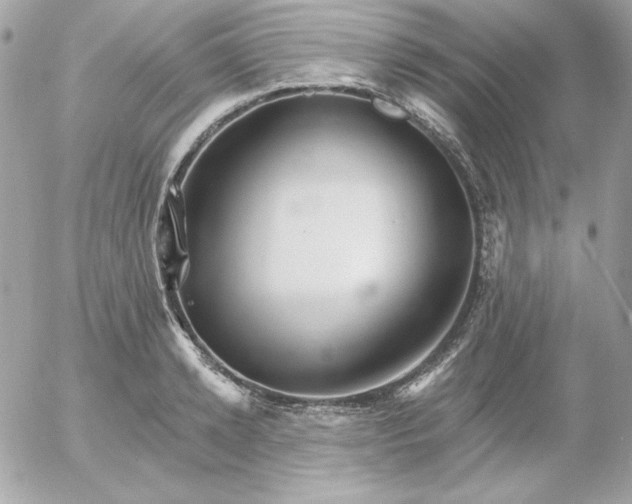 X0000052940942200507221143