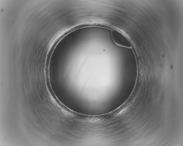 X0000052940943200507221143