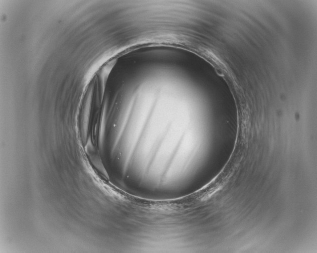 X0000052940944200507221143