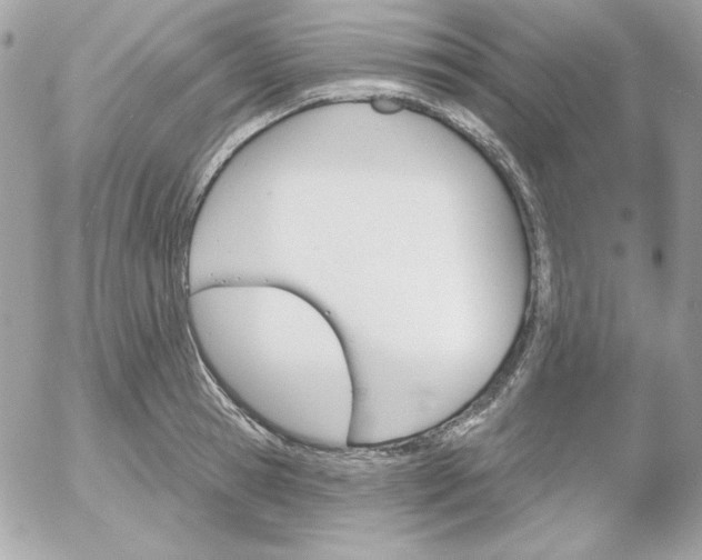 X0000052940945200507221143